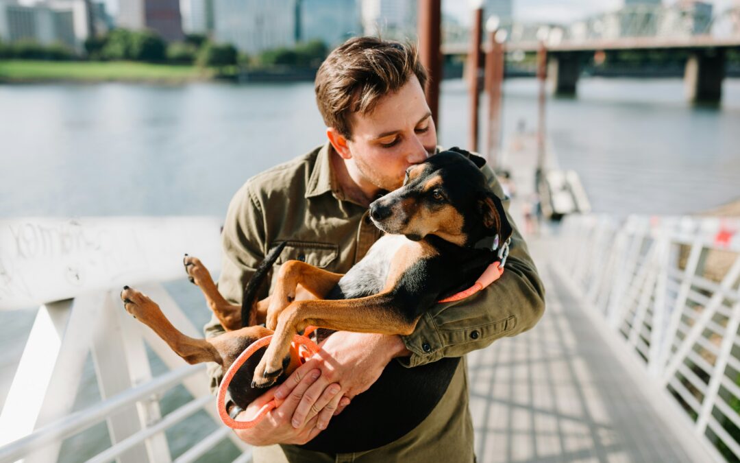 Le métier de pet sitter